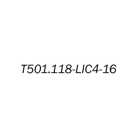 Лицензионный ключ на увеличение E1 портов с 4 до 16 для T501.118.400