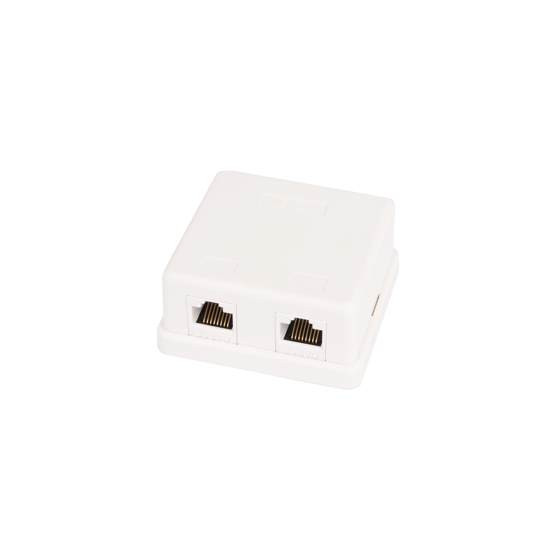 Настенная розетка NETLAN, 2 порта, Кат.5e (Класс D), 100МГц, RJ45/8P8C, 110, T568A/B, неэкранированная, белая, уп-ка 10шт.
