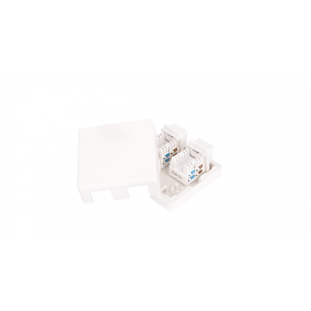 Настенная розетка NETLAN, 2 порта, Кат.5e (Класс D), 100МГц, RJ45/8P8C, 110, T568A/B, неэкранированная, белая, уп-ка 10шт.