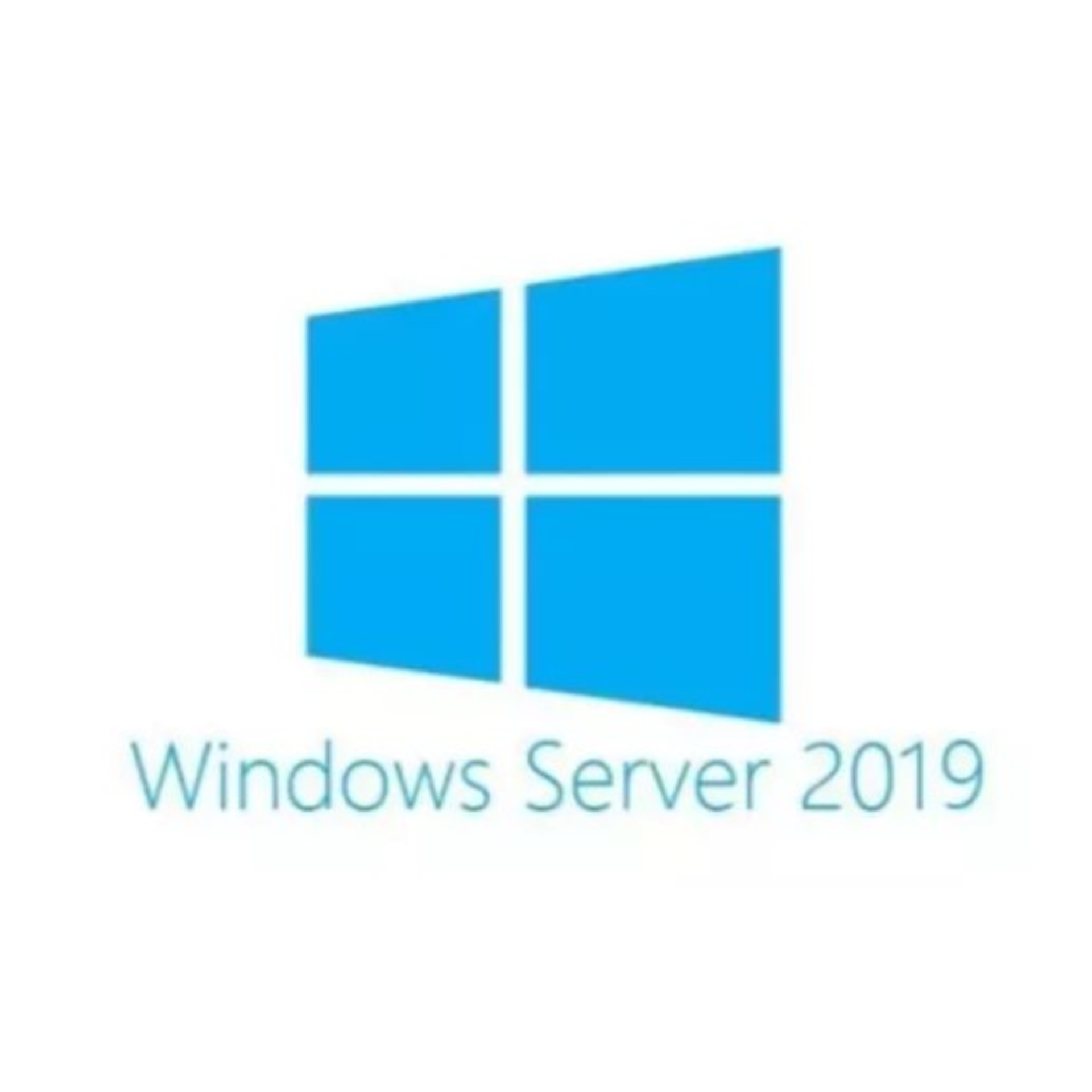 Лицензия Microsoft Windows Server CAL 2019 RUS OEM CAL на 5 пользователей с носителем