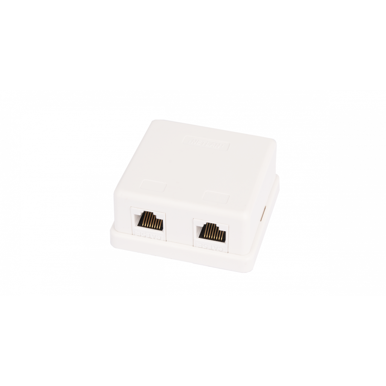 Настенная розетка NETLAN, 2 порта, Кат.5e (Класс D), 100МГц, RJ45/8P8C, 110, T568A/B, неэкранированная, белая, уп-ка 10шт.