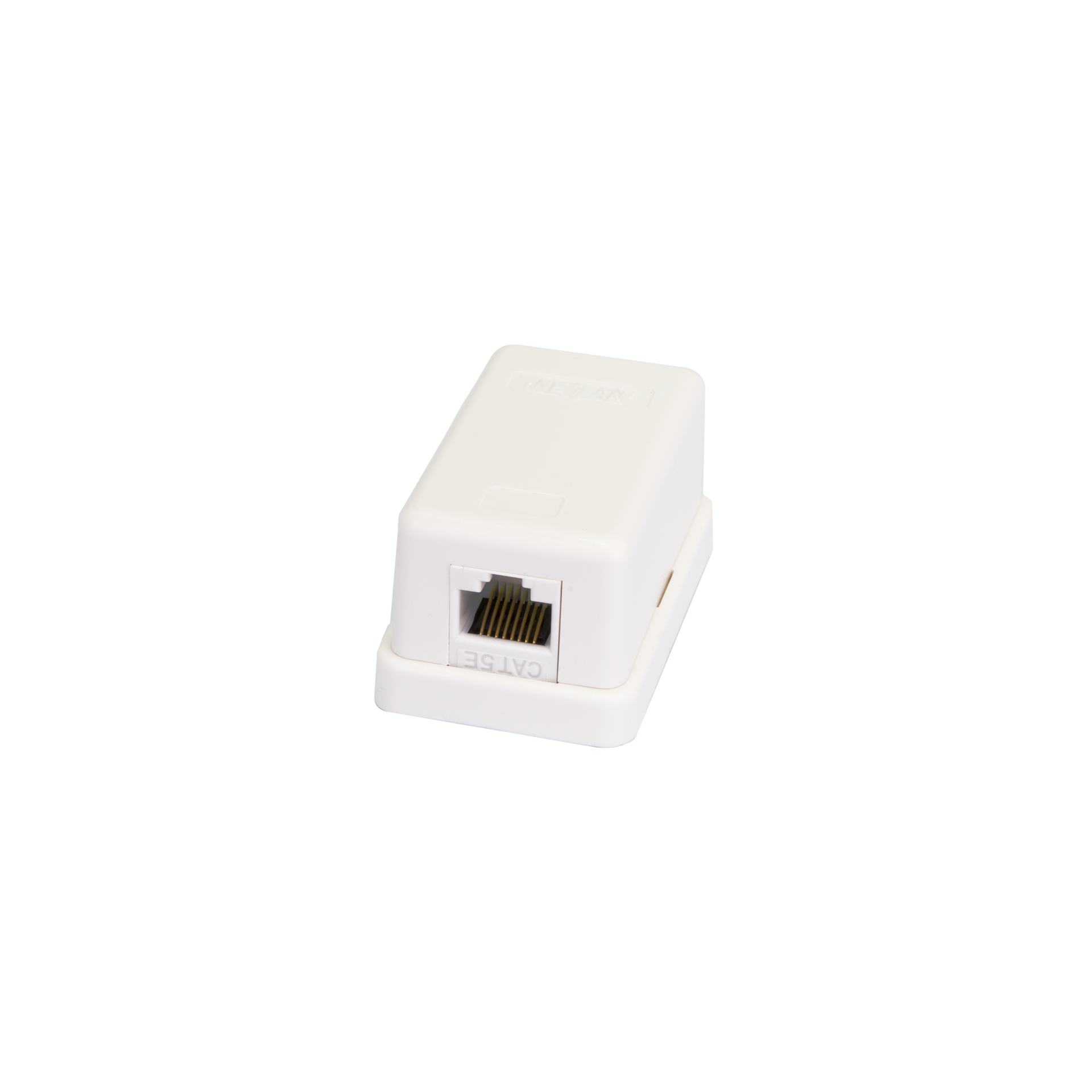 Настенная розетка NETLAN, 1 порт, Кат.5e (Класс D), 100МГц, RJ45/8P8C, 110, T568A/B, неэкранированная, белая, уп-ка 10шт.