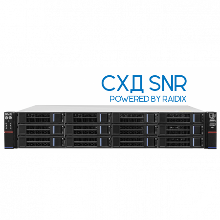 Система хранения данных SNR DS216R