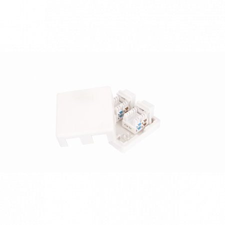 Настенная розетка NETLAN, 2 порта, Кат.5e (Класс D), 100МГц, RJ45/8P8C, 110, T568A/B, неэкранированная, белая, уп-ка 10шт.