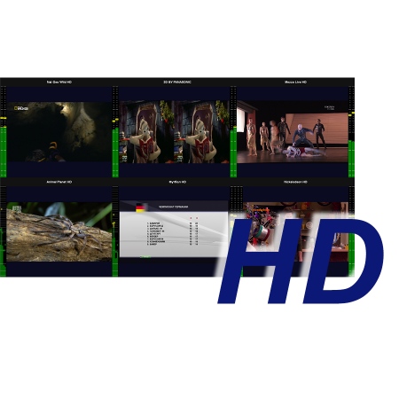 Комплекс мониторинга IPTV уровня сети ГС SNR-SLMS-Core
