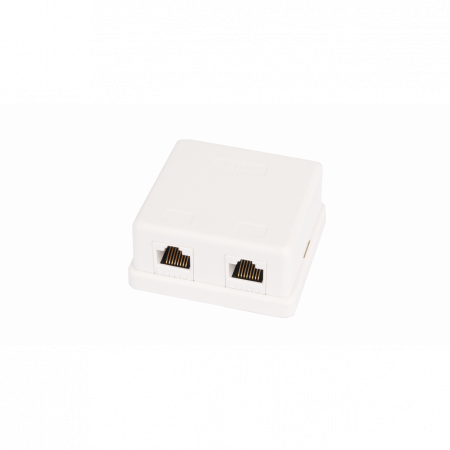 Настенная розетка NETLAN, 2 порта, Кат.5e (Класс D), 100МГц, RJ45/8P8C, 110, T568A/B, неэкранированная, белая, уп-ка 10шт.