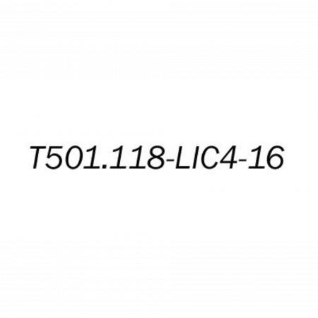 Лицензионный ключ на увеличение E1 портов с 4 до 16 для T501.118.400