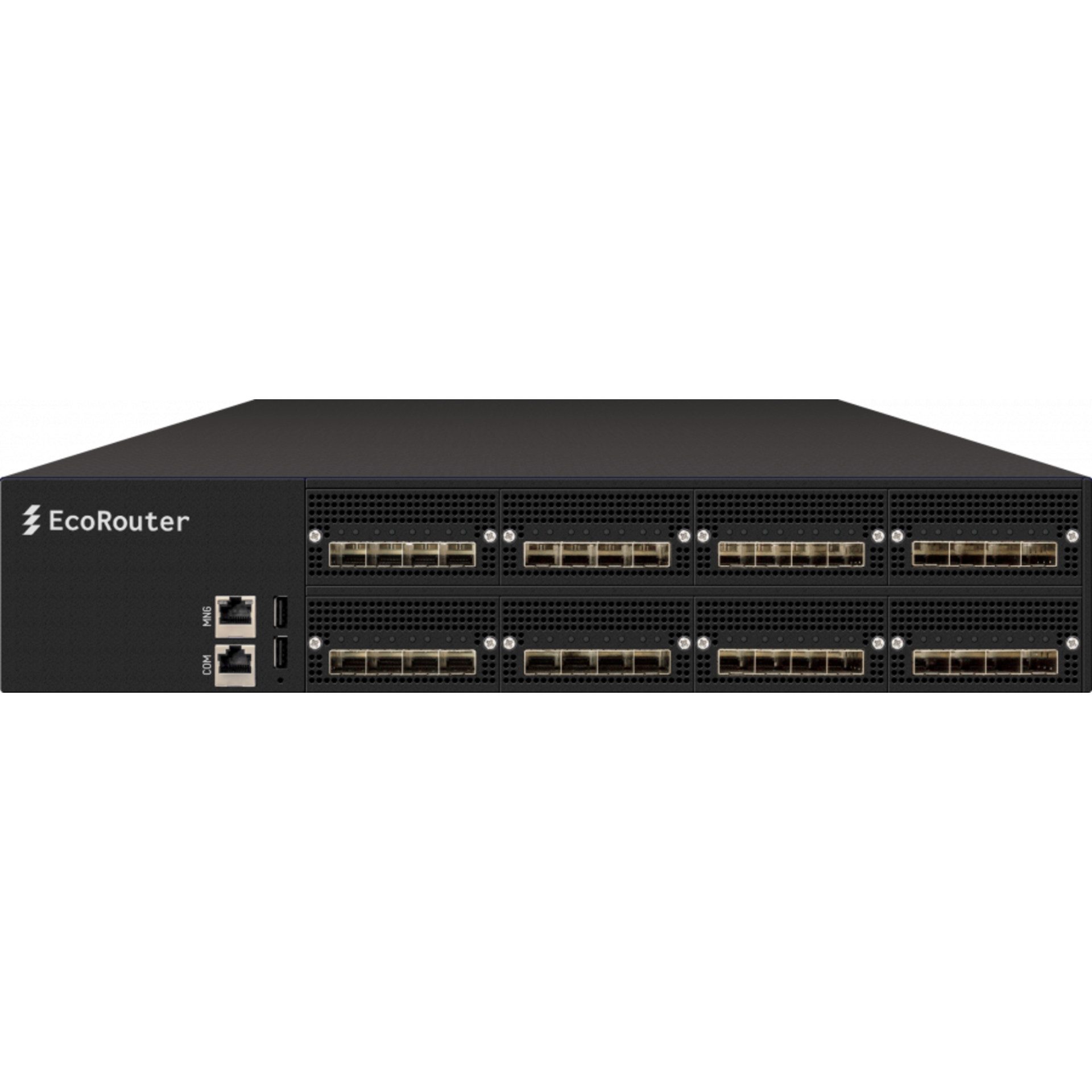 Платформа модульного IP/MPLS маршрутизатора EcoRouter 2008